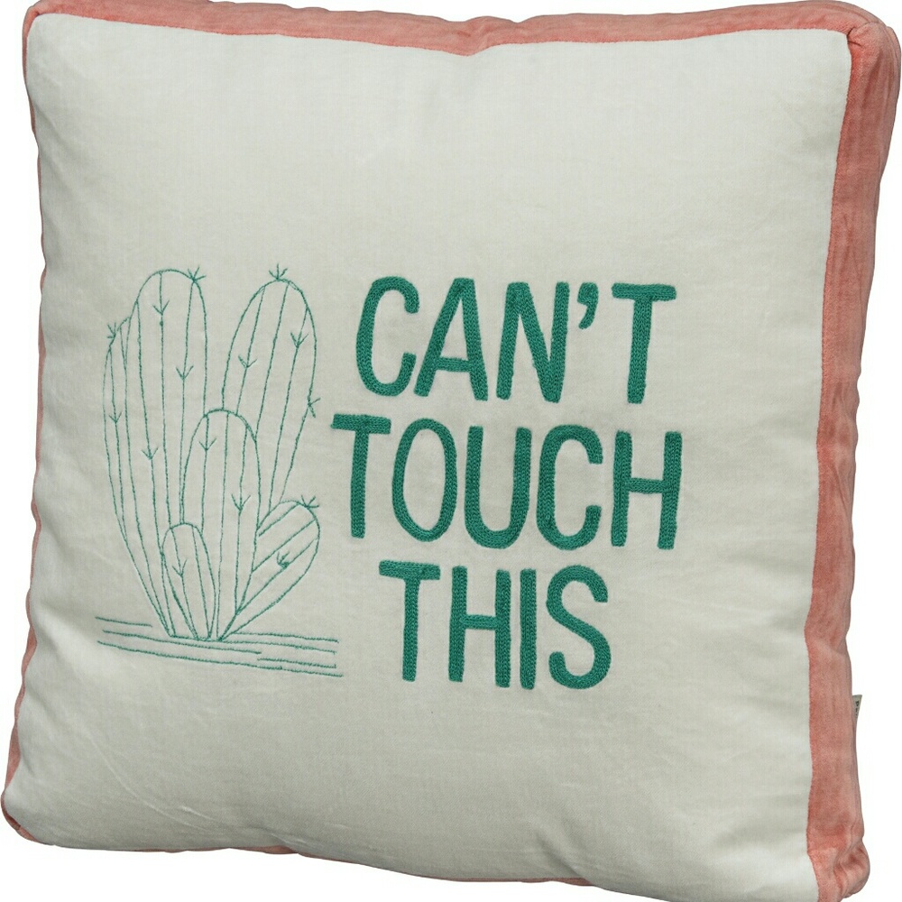 💎Velvet "Can't Touch This" pillow